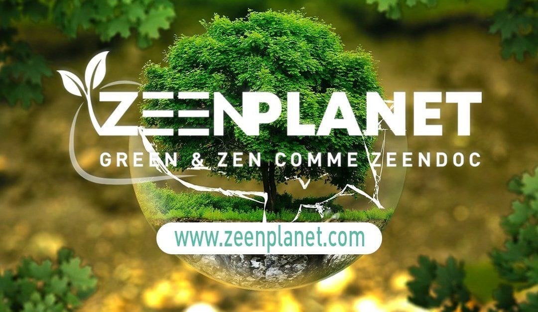 [Le Programme ZeenPlanet] La démarche Bas Carbone de Zeendoc
