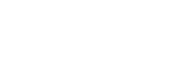 Zeendoc white logo