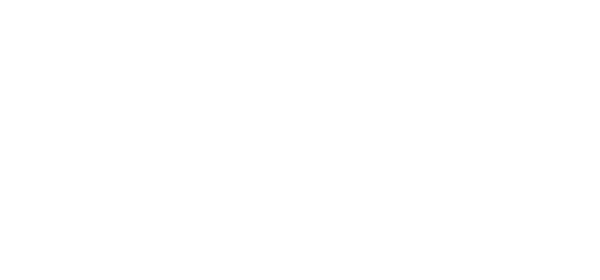Weißes Zeendoc-Logo
