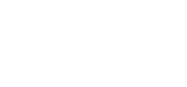 Zeendoc white logo